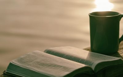 Christian Meditation Open Day- 17 Nov