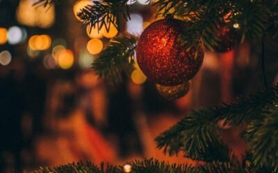 COSCom End of Year Newsletter 2025