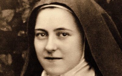 Relics of St. Therese of Lisieux Visit to The Hague